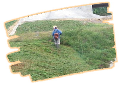 PT.HKI PROYEK PEMBANGUNAN TOL PEKANBARU-DUMAI PEKDUM 3 ( TAHUN 2020-2021 ) BABAT RUMPUT